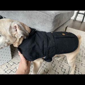 Carhartt dog coat